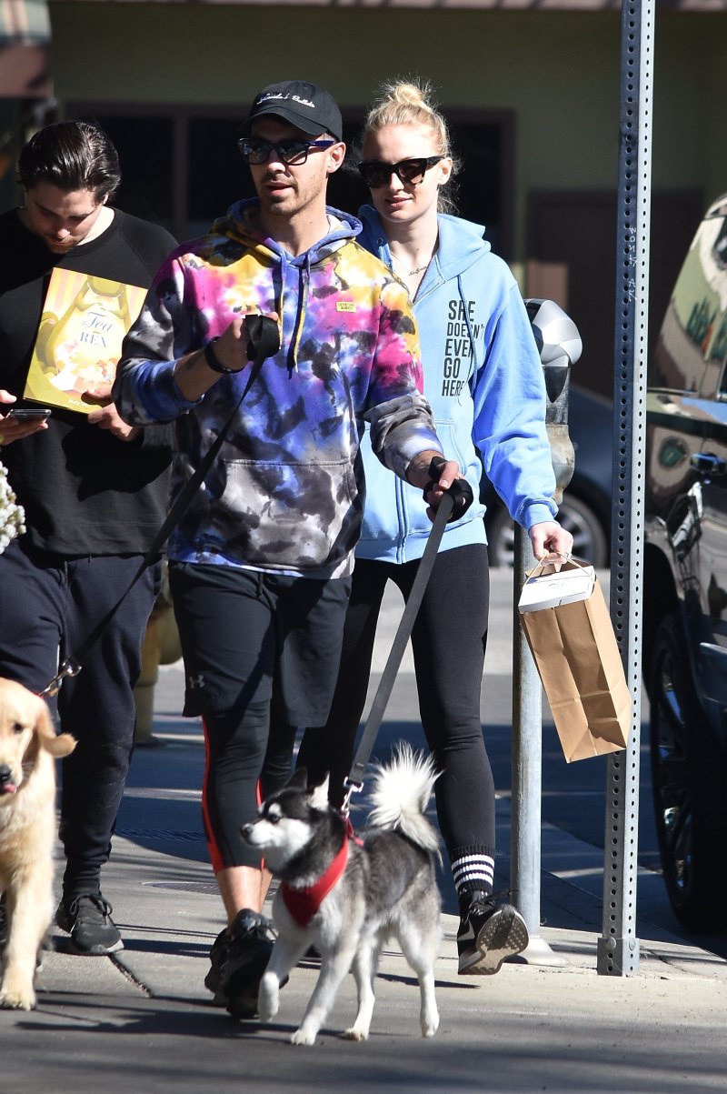 Joe Jonas and Sophie Turner Step Out With Their Pups Amid Pregnancy News