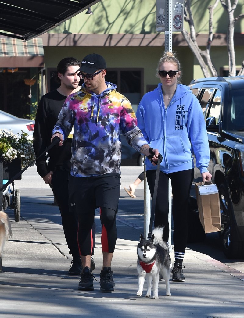 Joe Jonas and Sophie Turner Step Out With Their Pups Amid Pregnancy News