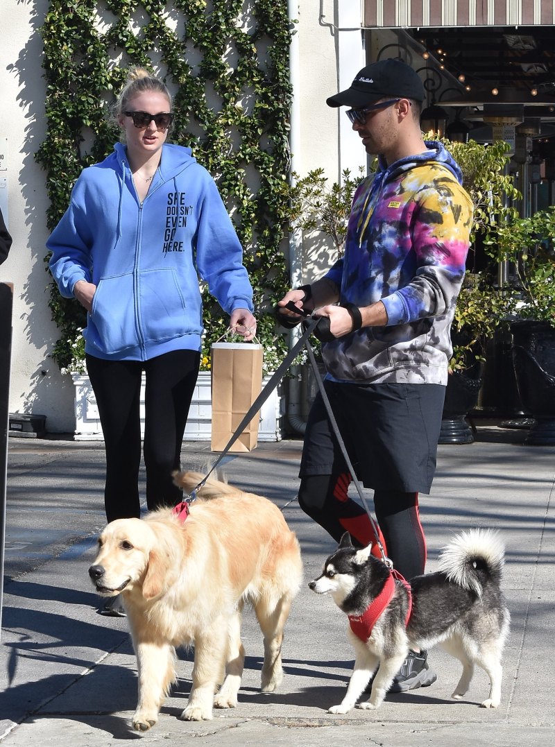 Joe Jonas and Sophie Turner Step Out With Their Pups Amid Pregnancy News