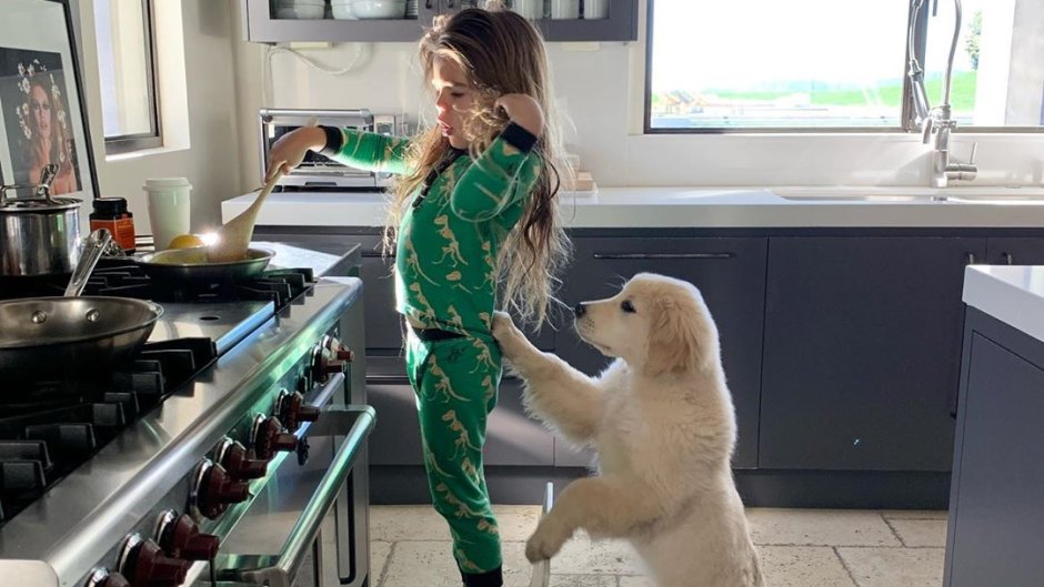 Kourtney Kardashian Shares Photo With Reign Disick and Puppy Cubs Cooking