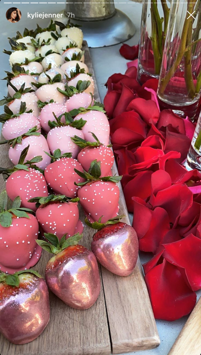 Kylie Jenner Valentine's Day Drink and Draw Party