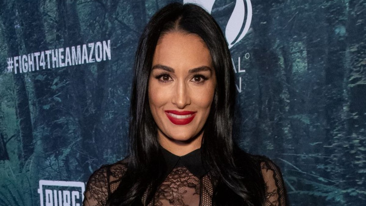 Nikki Bella Already Loves Her Baby