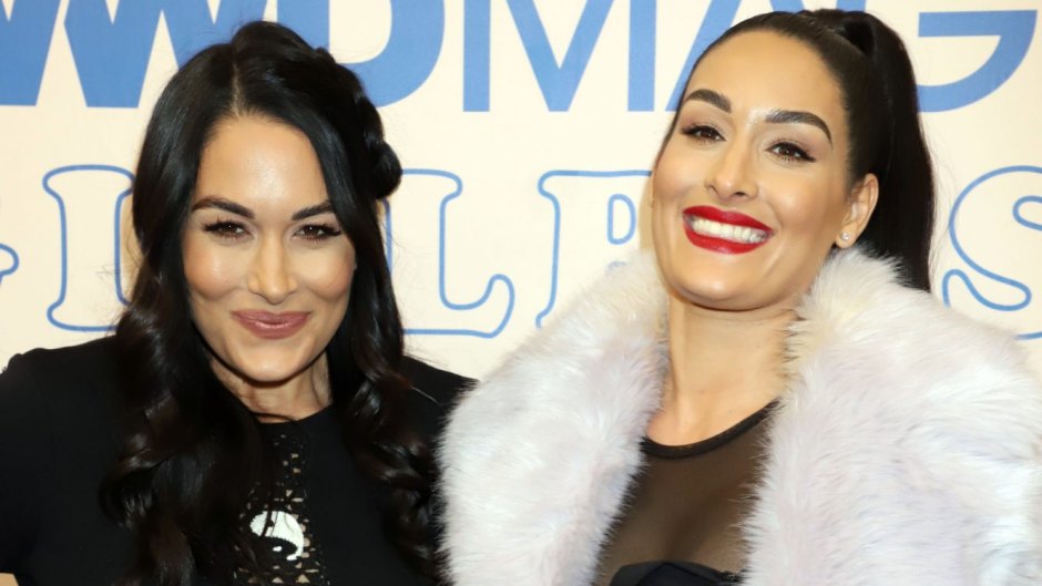 Nikki and Brie Bella Show Off Their Baby Bumps