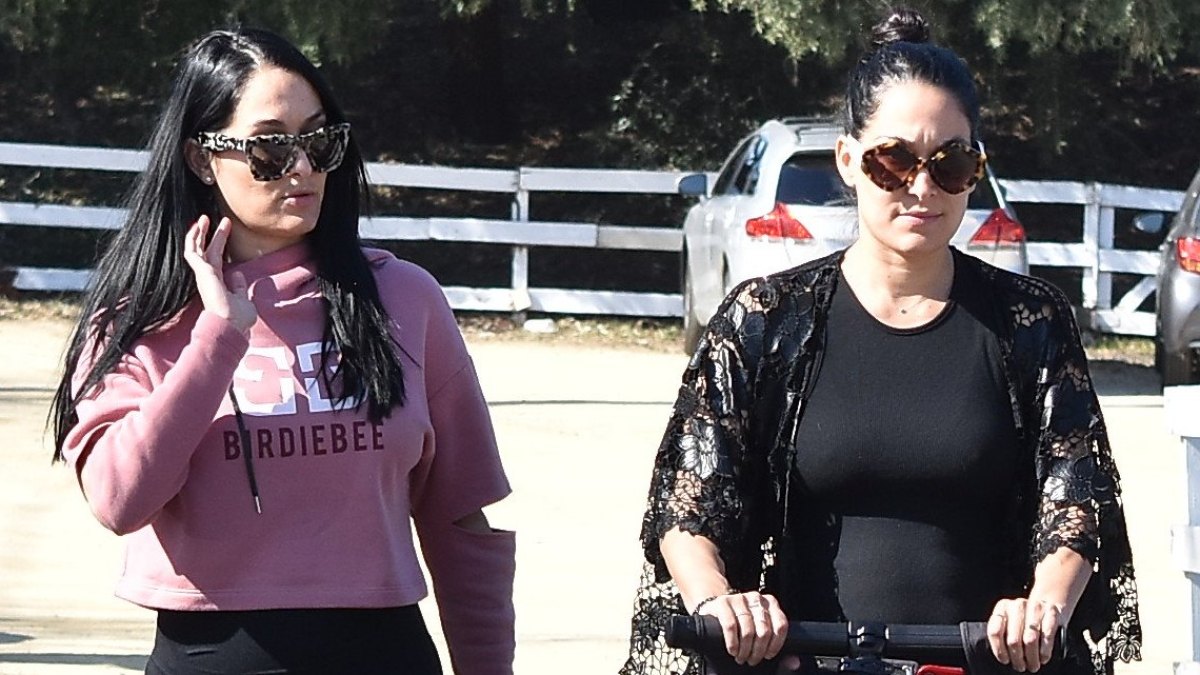 Pregnant Nikki Bella and Brie Bella at Farmer's Market