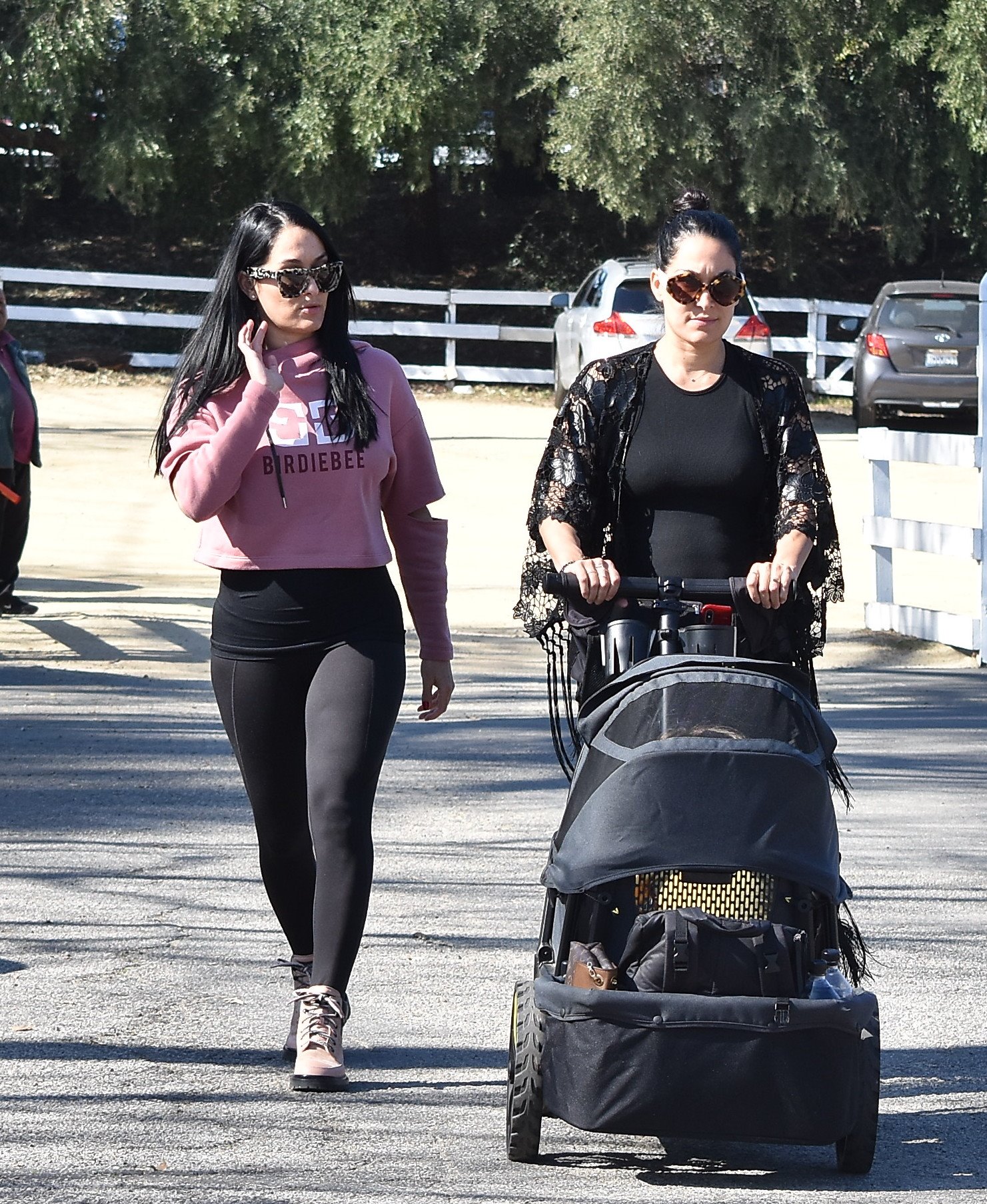 Pregnant Nikki Bella and Brie Bella at Farmer's Market