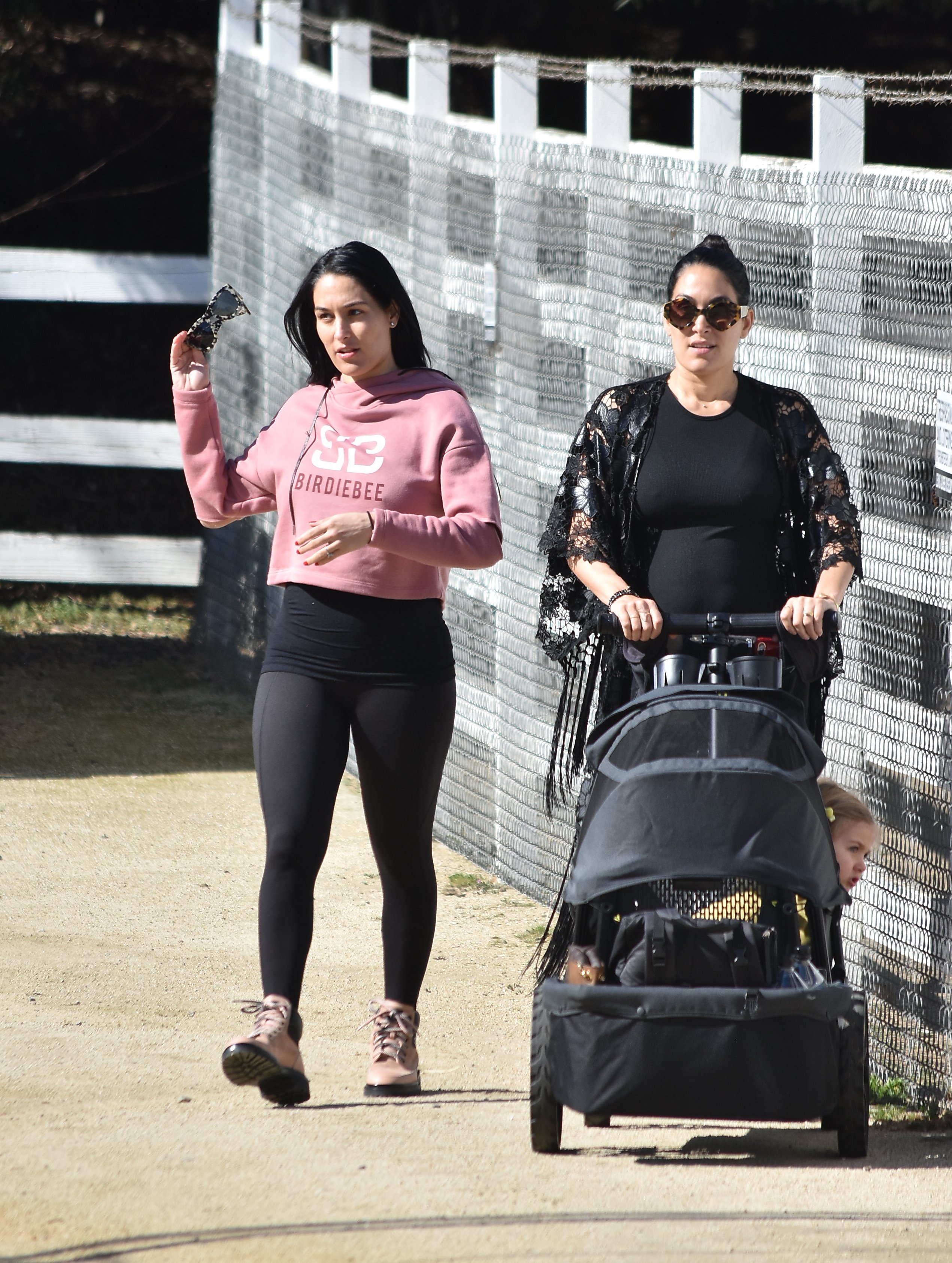 Pregnant Nikki Bella and Brie Bella at Farmer's Market