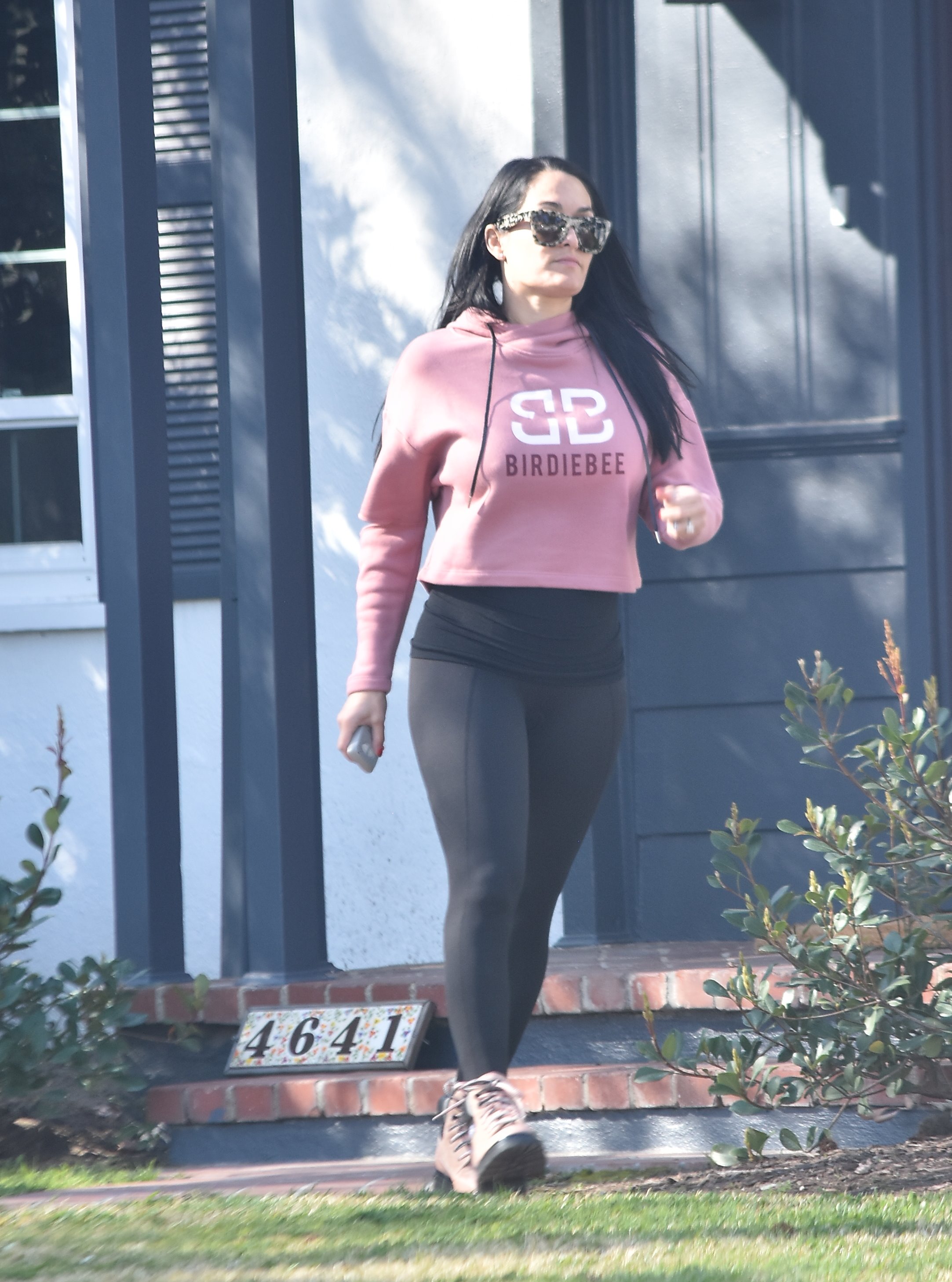 Pregnant Nikki Bella and Brie Bella at Farmer's Market