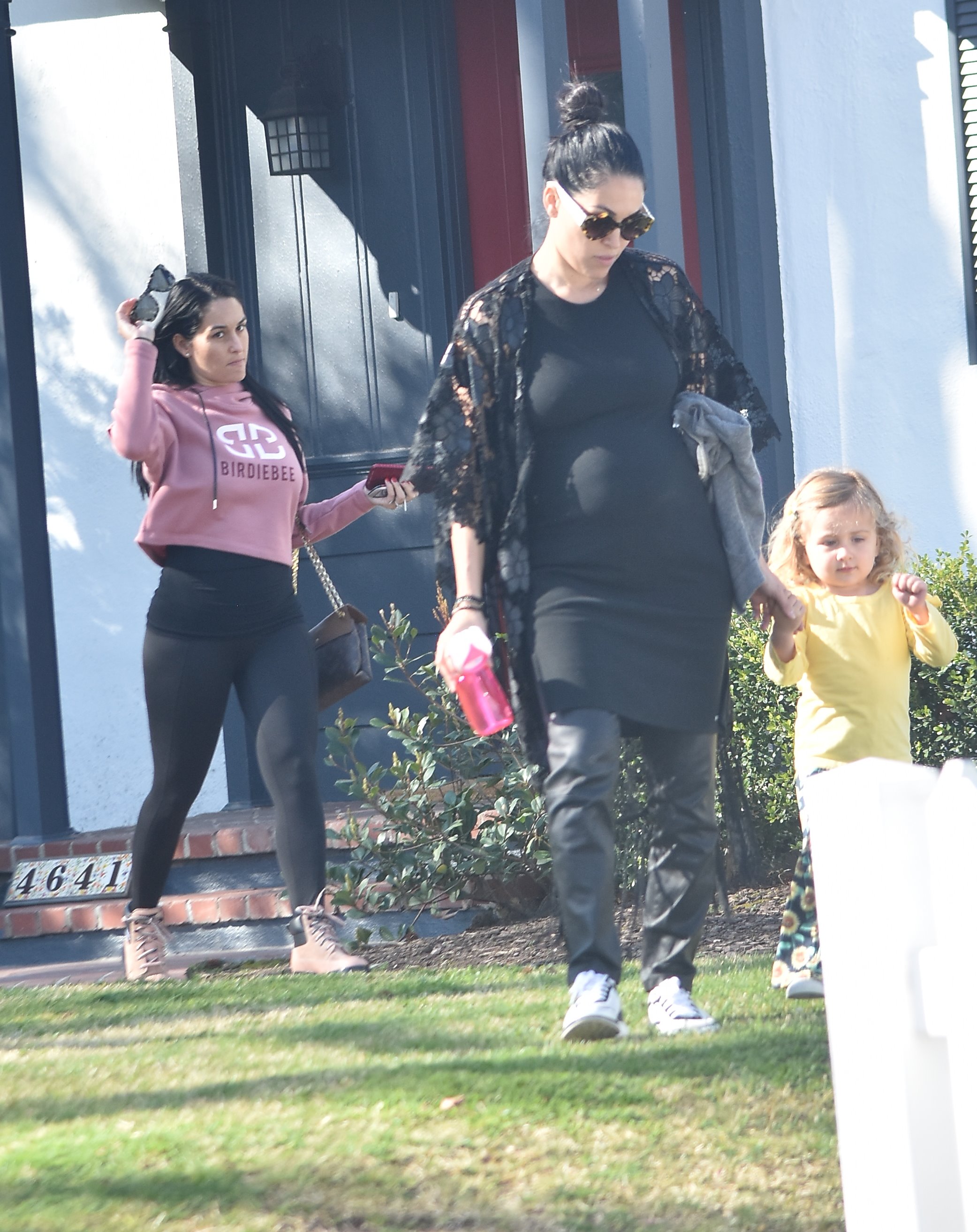 Pregnant Nikki Bella and Brie Bella at Farmer's Market