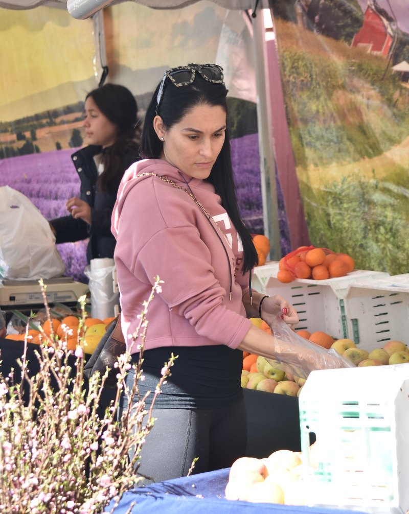 Pregnant Nikki Bella and Brie Bella at Farmer's Market