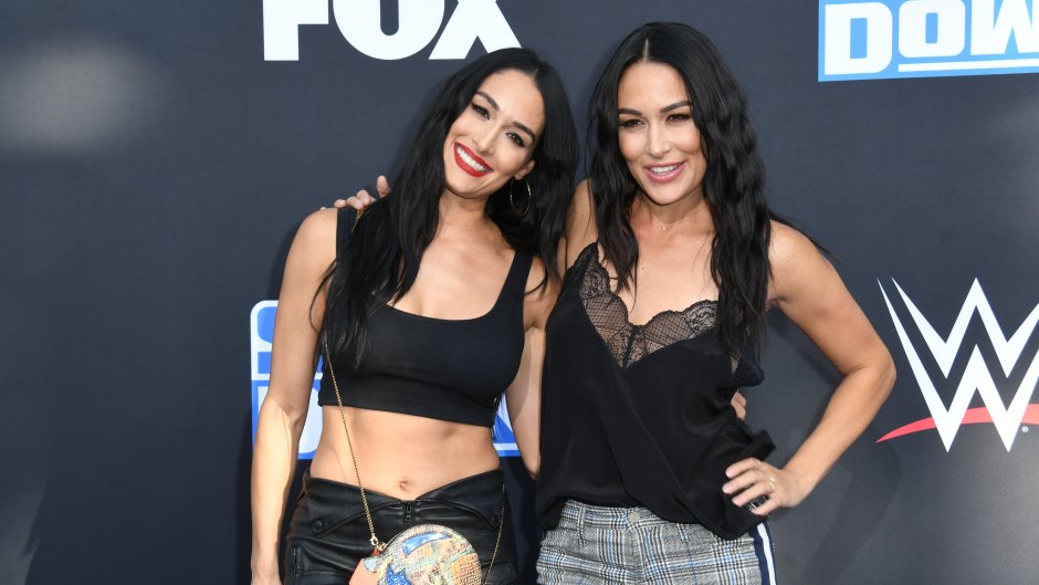 Pregnant Twins Nikki and Brie Bella Stand Smiling in Black Outfits
