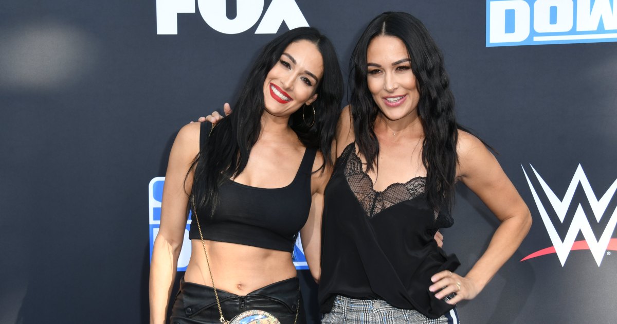Pregnant Nikki Bella And Twin Brie Say They Conceived At The Same Place
