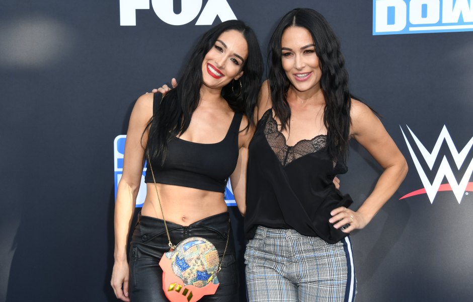 Pregnant Twins Nikki and Brie Bella Stand Smiling in Black Outfits