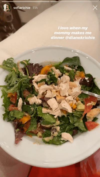 sofia-richie-mom-makes-dinner-ig