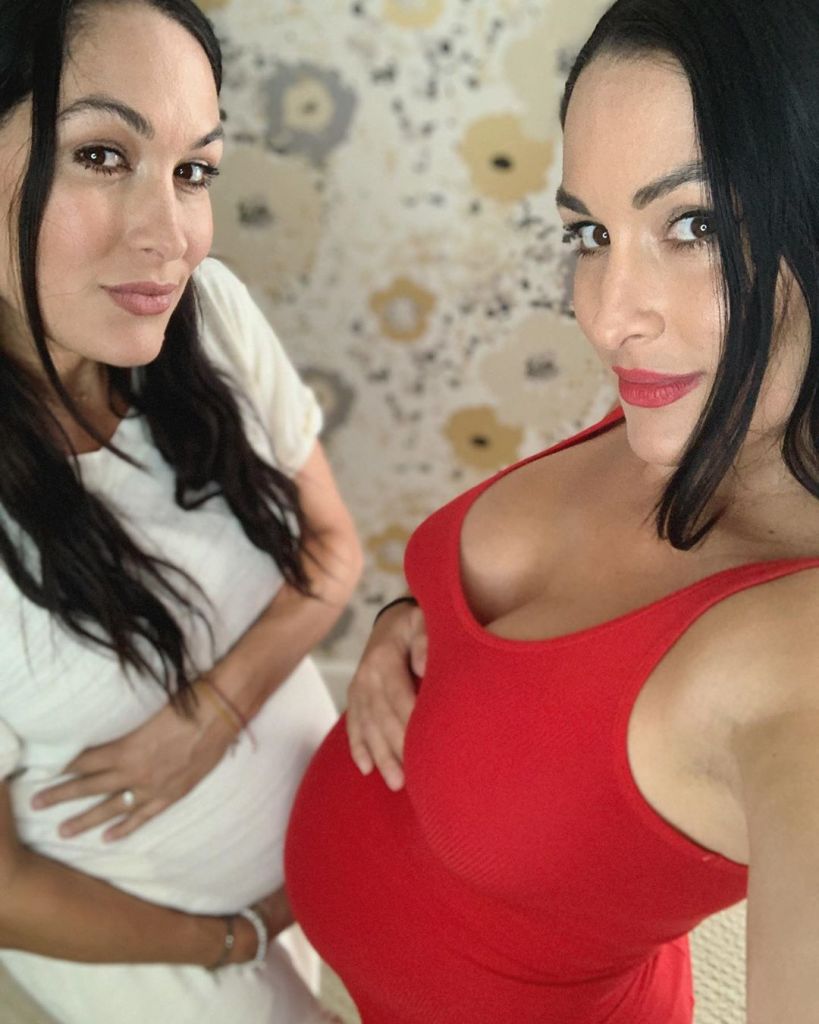 Nikki and Brie Bella Due Dates: Pregnant Twins Are Due 2 Weeks Apart