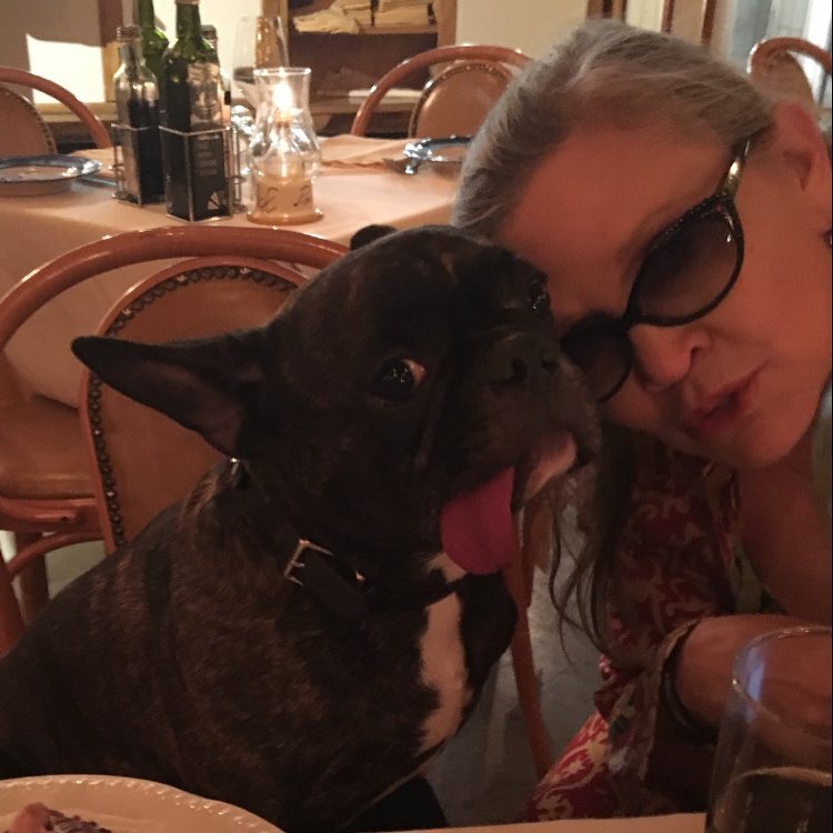 Carrie Fisher's Dog Gary on Instagram
