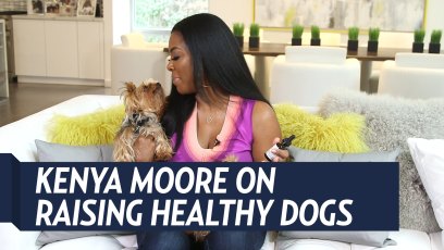 Kenya Moore Healthy Dog