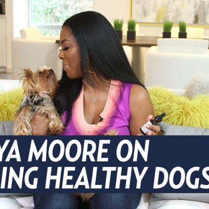 Kenya Moore Healthy Dog