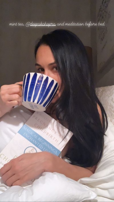 Nikki Bella Drinking Tea