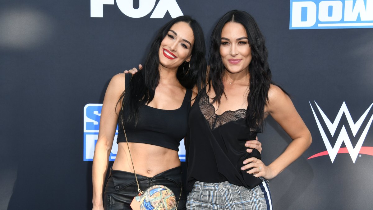 Nikki and Brie Bella