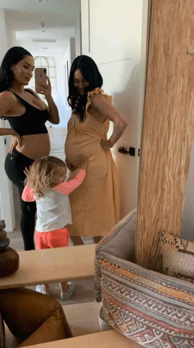 Nikki and Brie Bella with Birdie