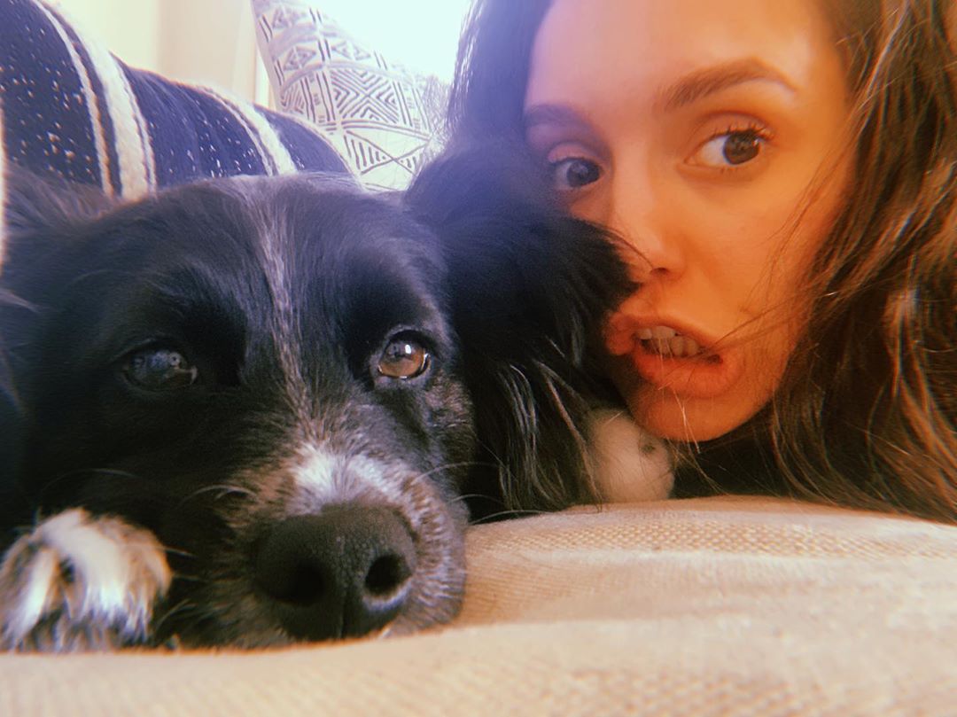 Nina Dobrev's Dog Maverick on Instagram