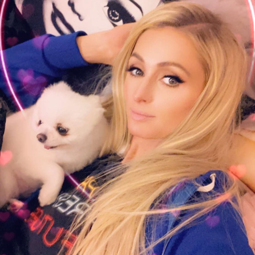 Paris Hilton Snaps a Selfie With Her Dog on Instagram