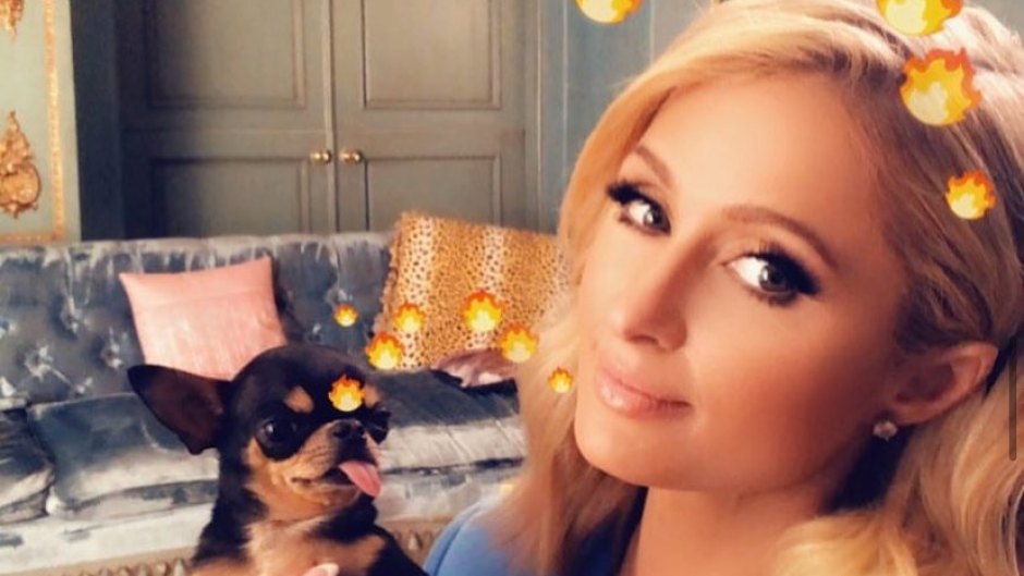 Paris Hilton Holding Chihuahua