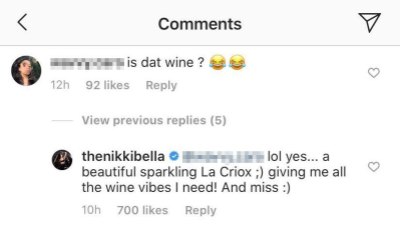 Pregnant Nikki Bella Responds After Fan Thinks She's Drinking Wine