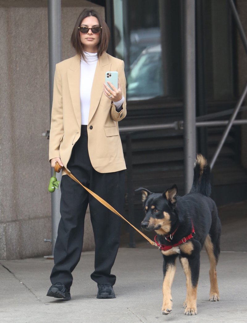 Emily Ratajkowski Best Worst Dressed Celebs Winter