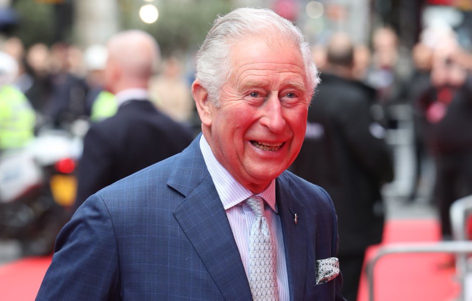 Prince Charles Smiles in Blue Suit With Purple Tie