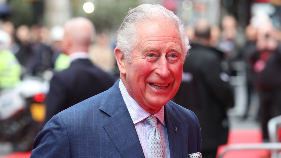Prince Charles Smiles in Blue Suit With Purple Tie
