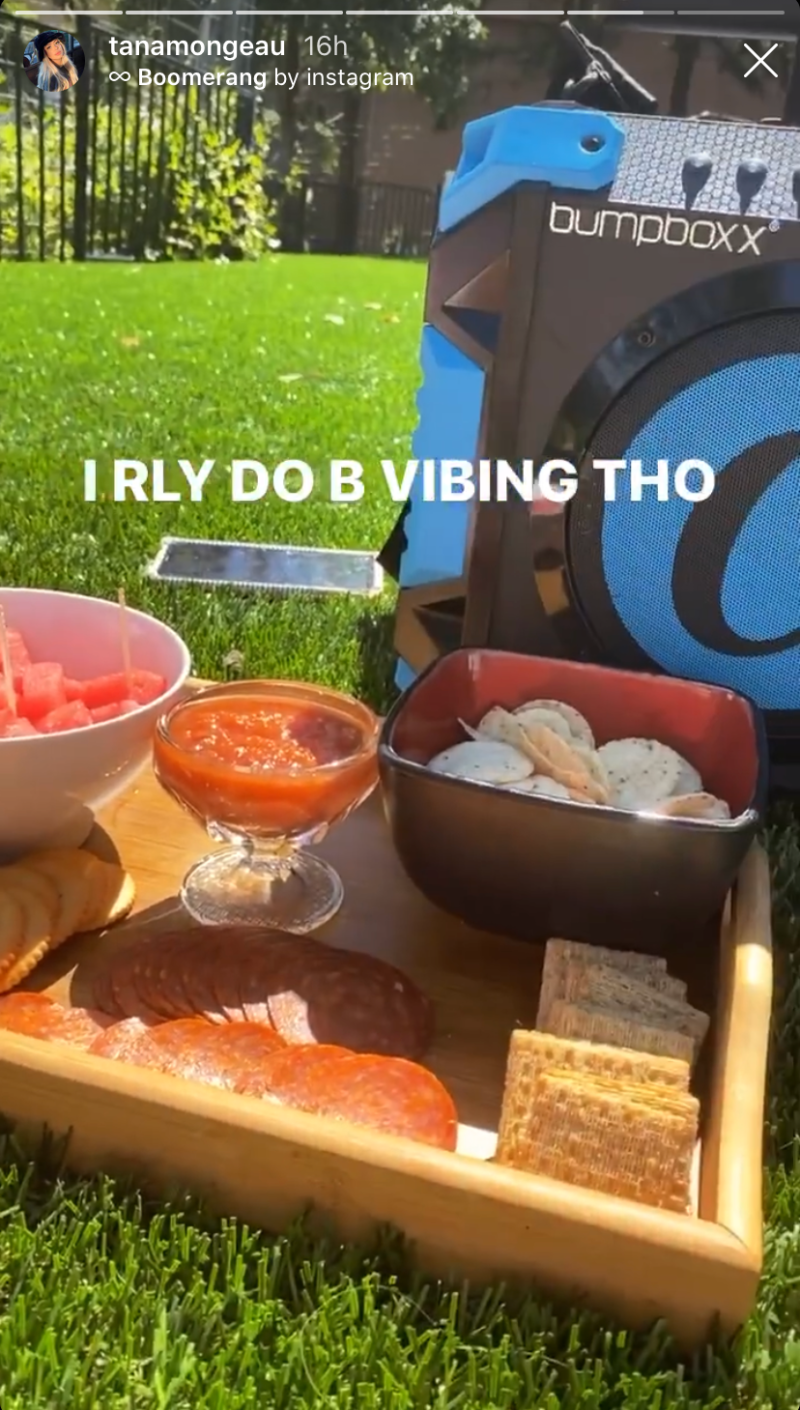 tana-mongeau-social-distancing-picnic