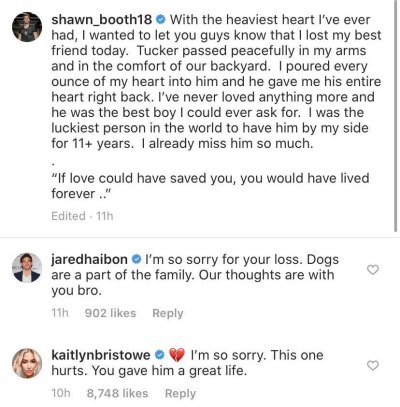 Kaitlyn Bristowe Sends Love to Shawn Booth Dog Died