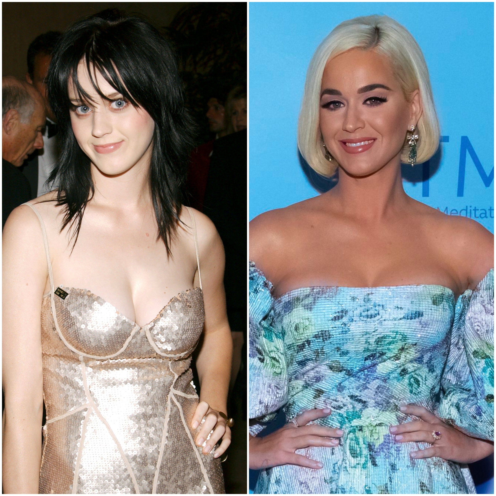 Katy Perry Dildo Porn - Katy Perry Young to Now: See the Singer's Transformation Over the Years