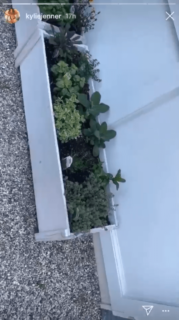 Kylie Jenner's Garden 