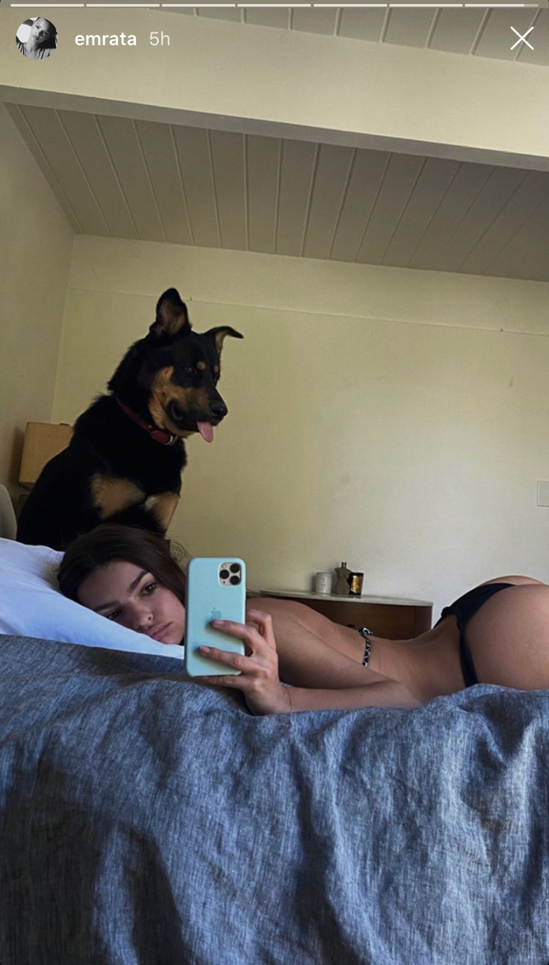 emily-ratajkowski-butt-selfie-quarantine-dog-colombo