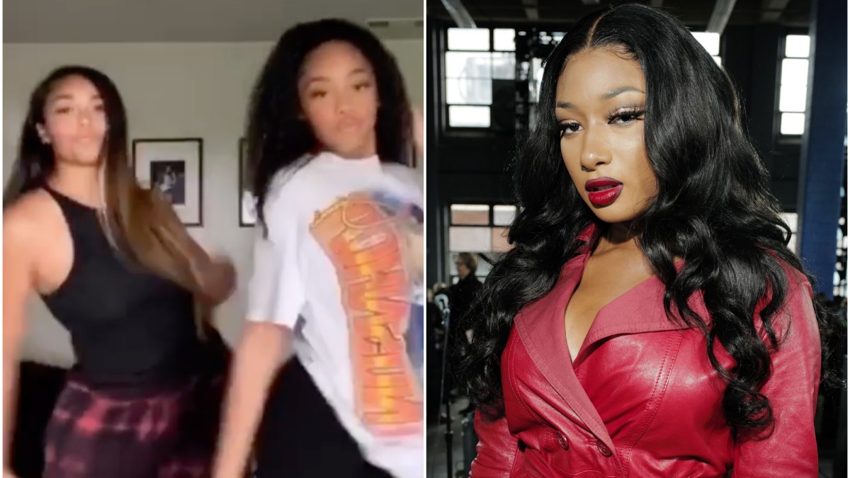 jordyn-woods-megan-thee-stallion-tik-tok-jodie