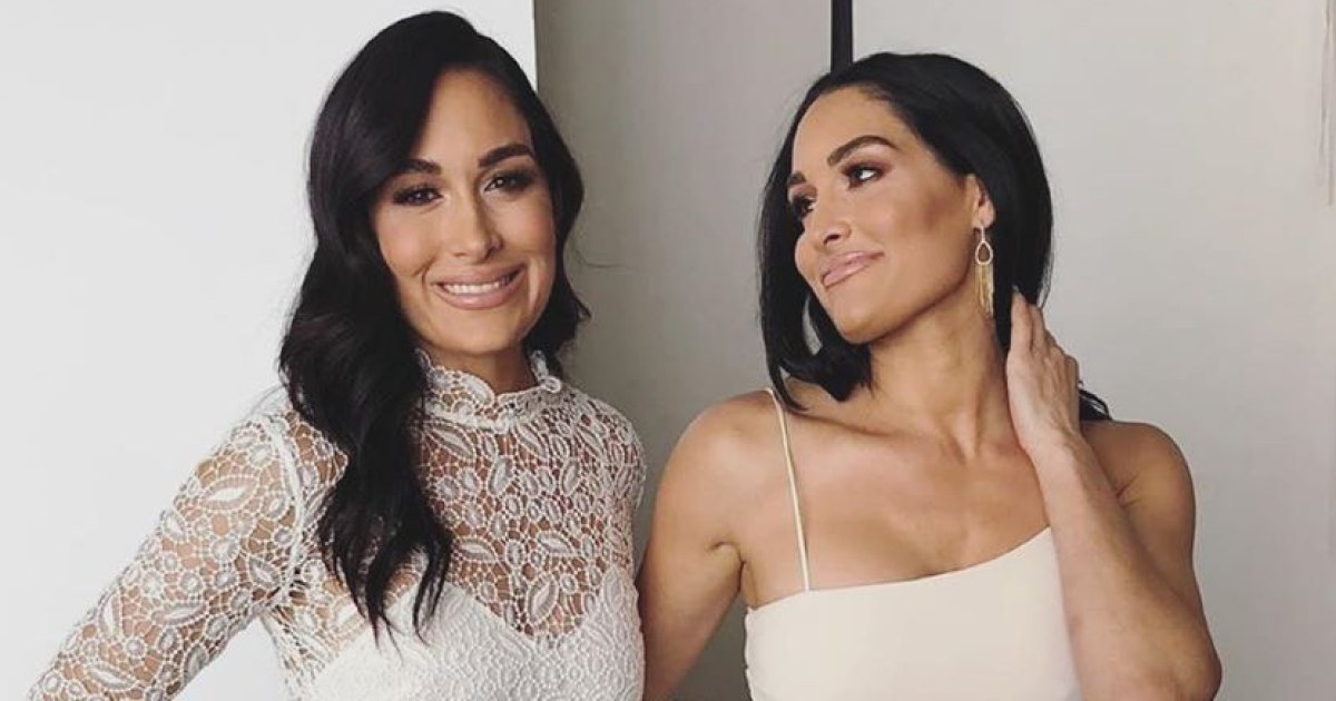 Nikki & Brie Bella's Maternity Fashion: Pics Of Their Pregnancy Looks –  Hollywood Life