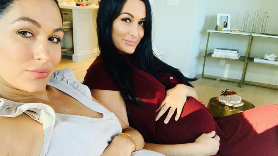 Nikki Bella Sex Video - Nikki and Brie Bella's Baby Bumps: See Sweet Pregnancy Photos
