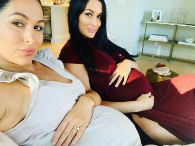 Pregnant Nikki and Brie Bella