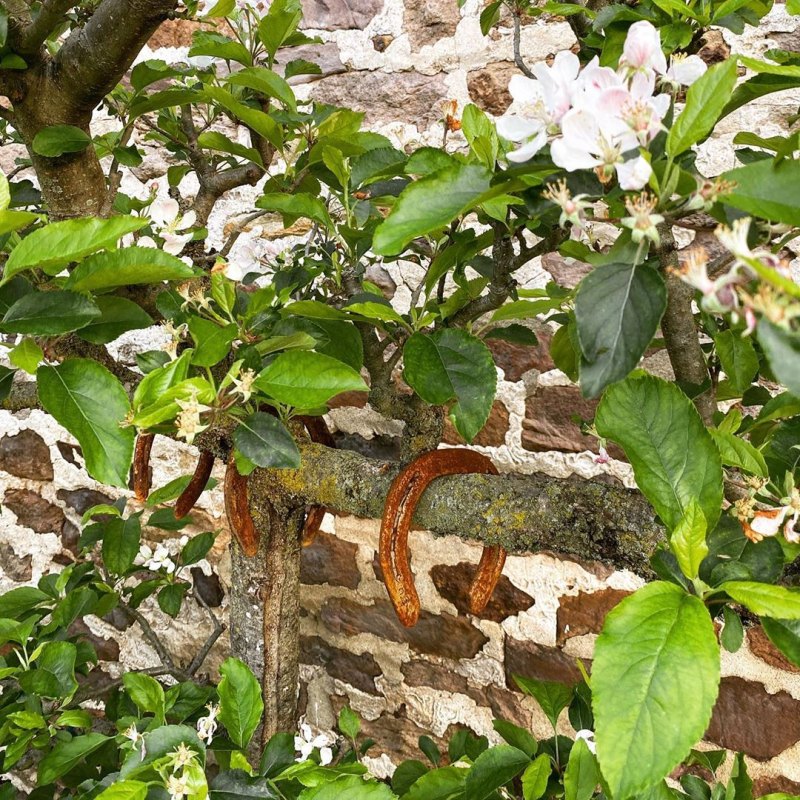 Pregnant Gigi Hadid Posts Scenic Photos From Her Familys Pennsylvania Farm