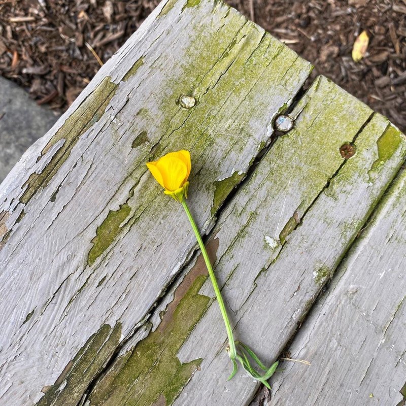 Pregnant Gigi Hadid Posts Scenic Photos From Her Familys Pennsylvania Farm