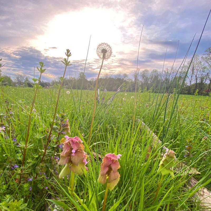 Pregnant Gigi Hadid Posts Scenic Photos From Her Familys Pennsylvania Farm