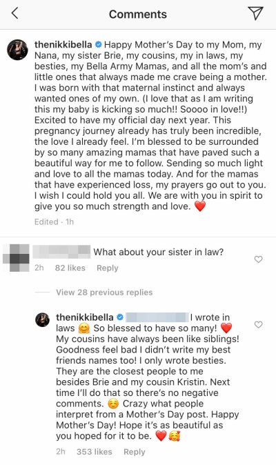 Nikki Bella Instagram Comments