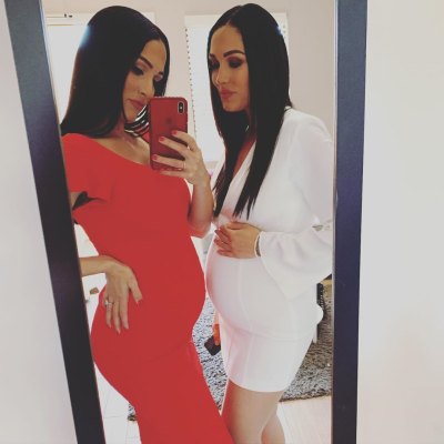 Nikki and Brie BElla's Cutest Pregnancy Moments