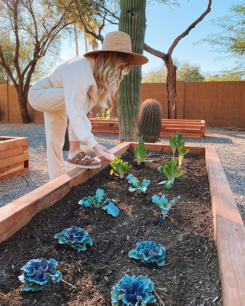 Arie Luyendyk Lauren Burnham Arizona Home Tour Garden