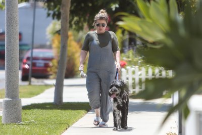 kelly-clarkson-out-first-time-since-divorce-filing-walks-dog