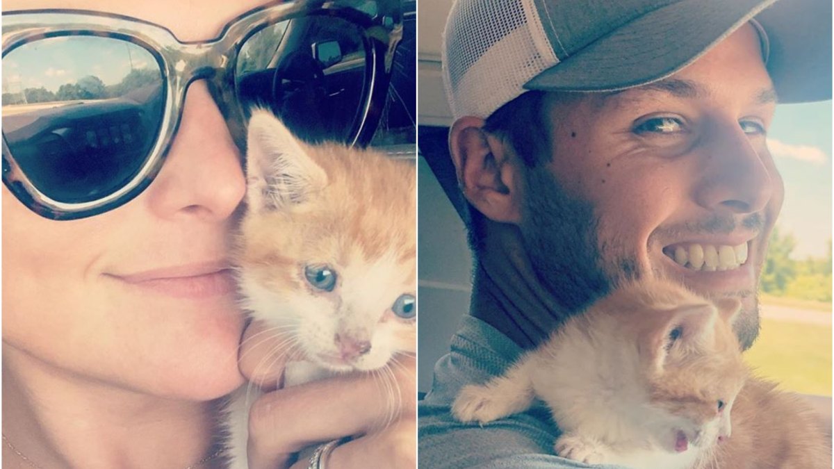 miranda-lambert-brendan-mcloughlin-rescue-kitten