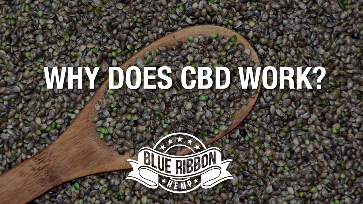 Blue Ribbon