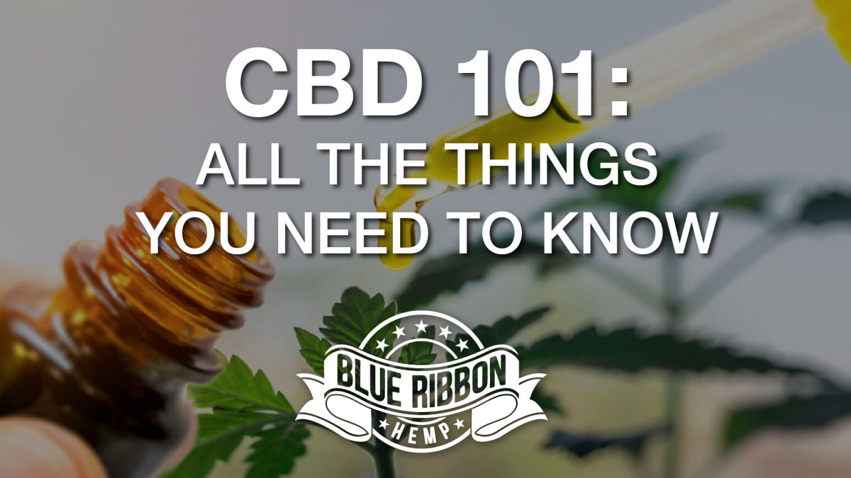 Blue RIbbon